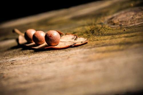 The Quiet Rise of SQLite: Why It's Everywhere in 2026